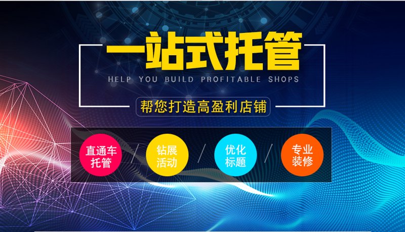 站群系统在电商行业的革新与应用